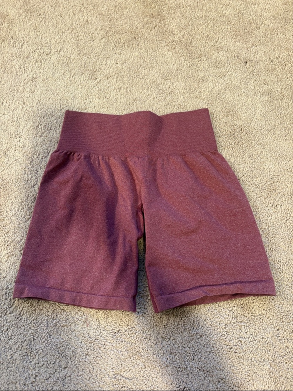NVGTN Shorts